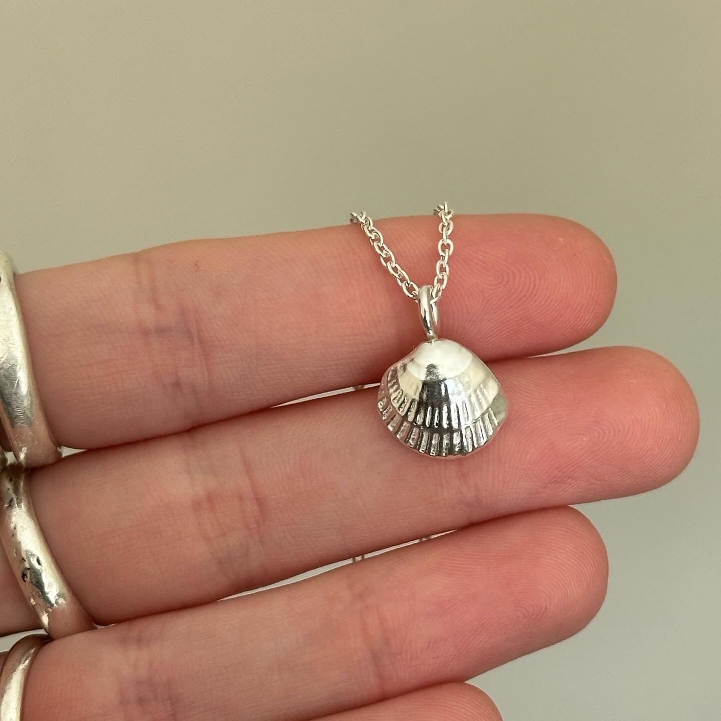 seashell necklace- ready to ship