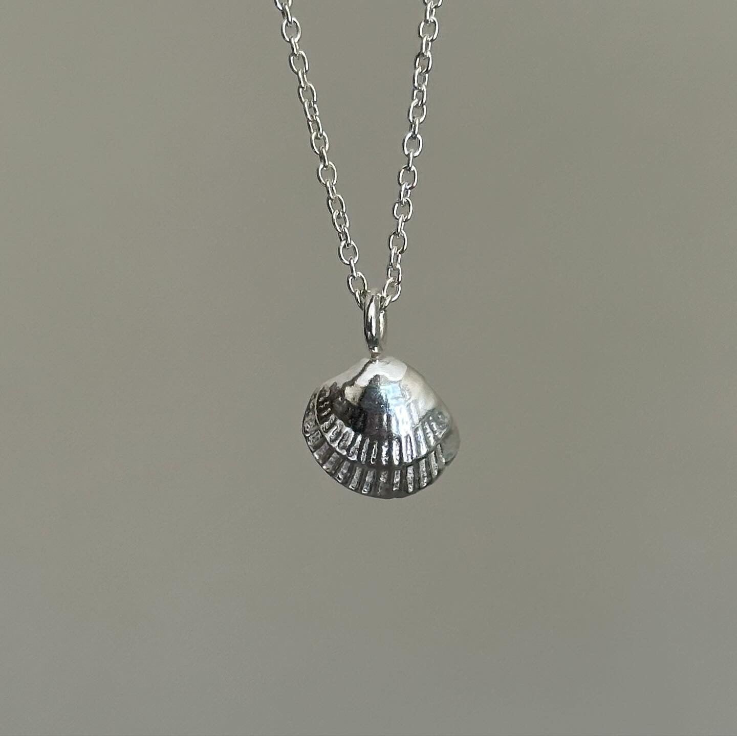 seashell necklace- ready to ship